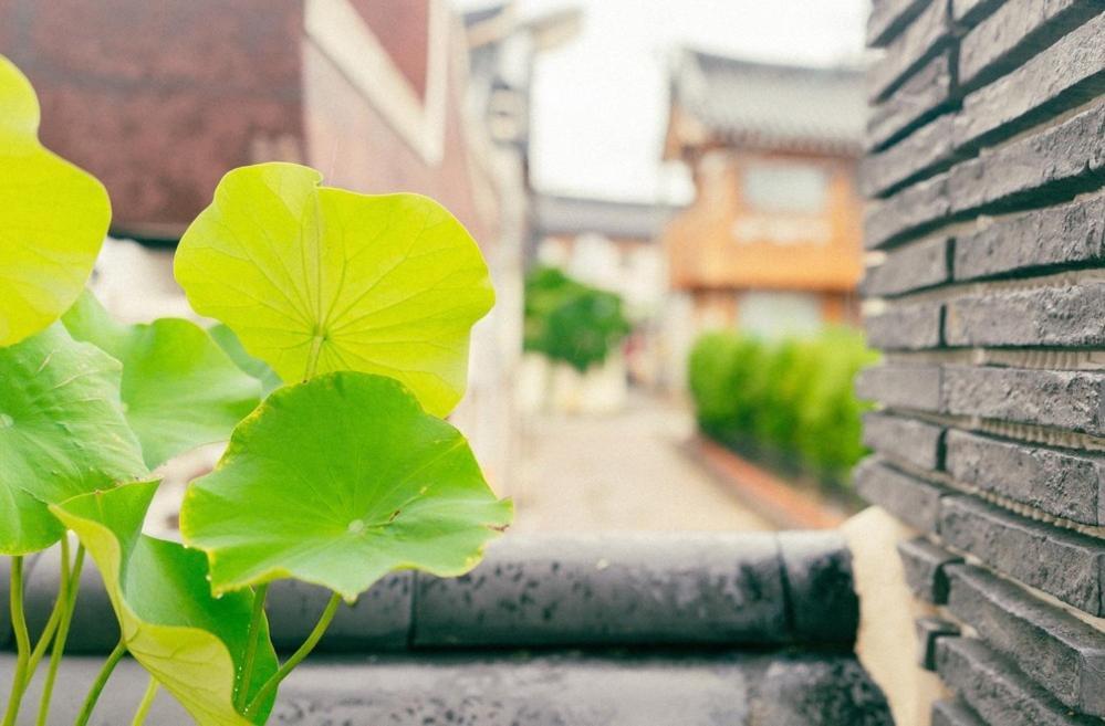 מלון Gyeongju Hwangridan Casa De חדר תמונה